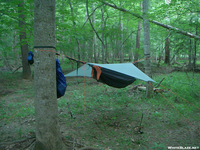 Hammocking In June