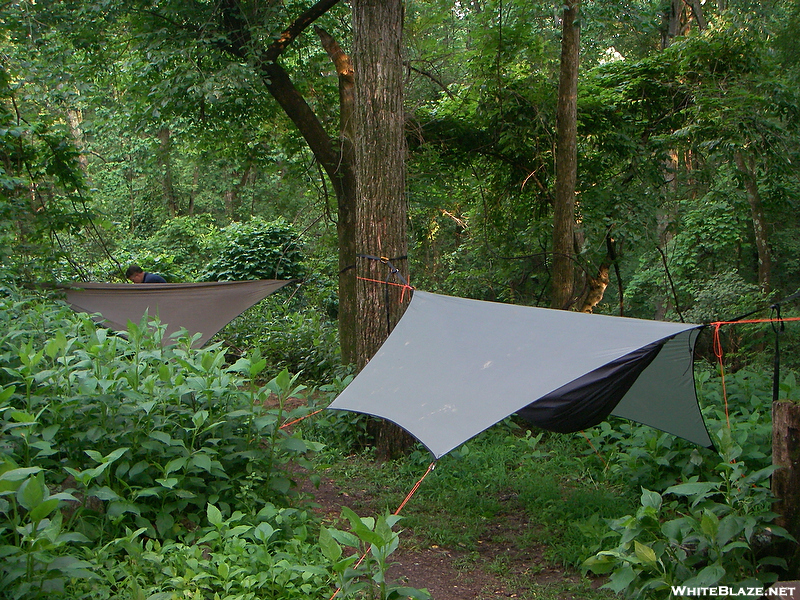 Hammocks At Lambert's Meadow