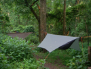 Hammocks At Lambert's Meadow by bigcranky in Hammock camping