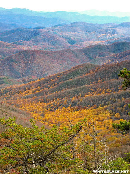 Fall Color In Smokies