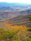 Fall Color In Smokies by bigcranky in Views in North Carolina & Tennessee