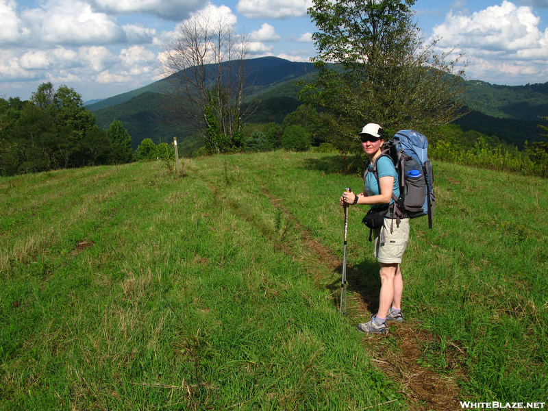 Big Bald Section Hike