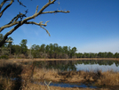 Florida Trail Hike