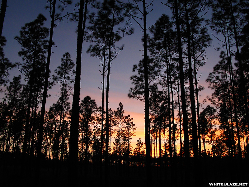 Florida Trail Hike