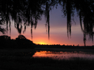 Florida Trail Hike