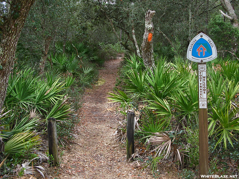 Florida Trail Hike