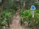 Florida Trail Hike