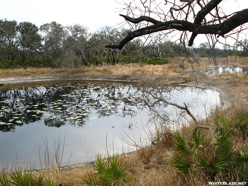 Florida Trail Hike