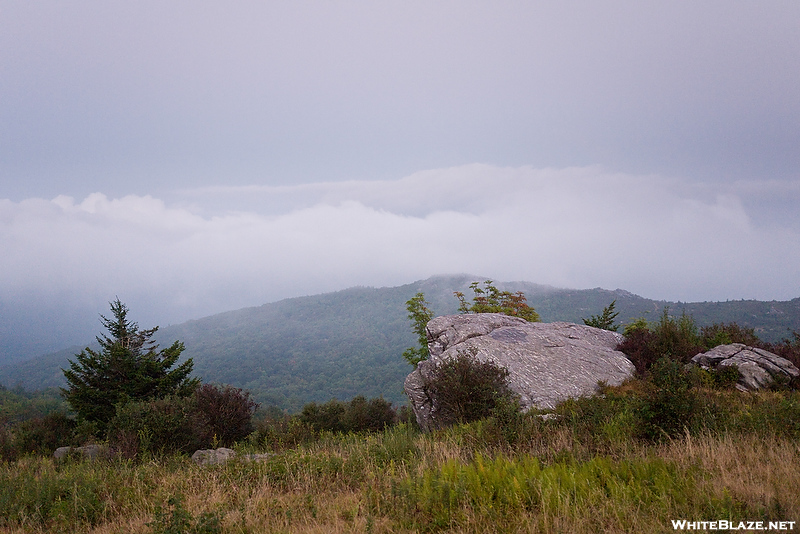 Mt Rogers Hike