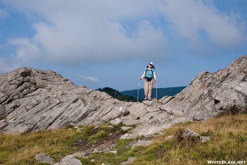 Mt Rogers Hike