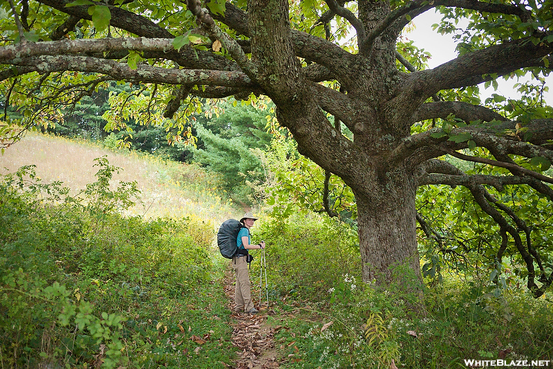 Hiking In Tennessee