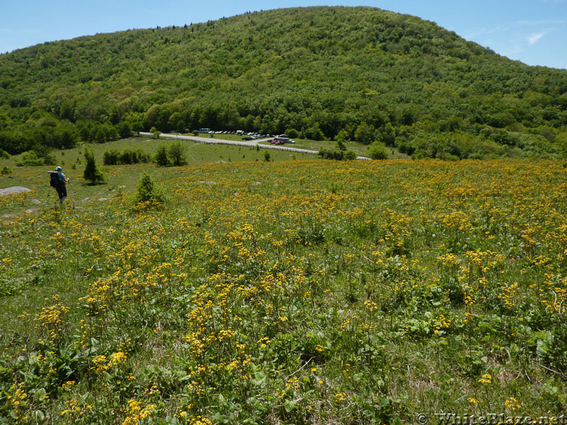 Memorial Day Hike 2014