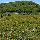 Memorial Day Hike 2014 by bigcranky in Trail & Blazes in Virginia & West Virginia