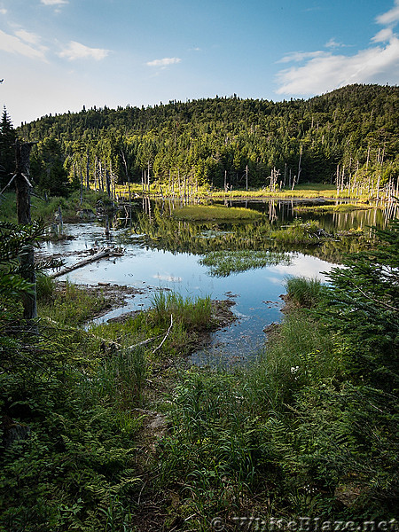 Long Trail