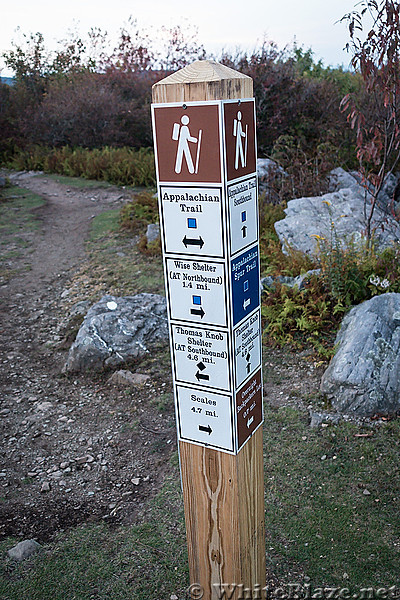 Mt Rogers Fall Loop Hike