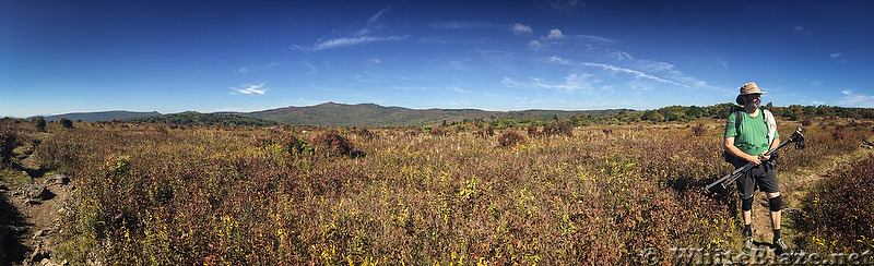 Mt Rogers Fall Loop Hike