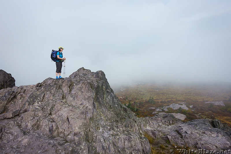 Mt Rogers Fall Loop Hike