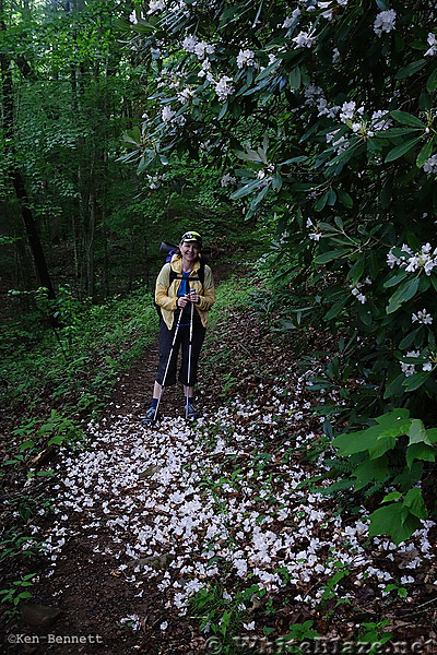 SW Virginia Section Hike