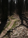 Spring Break Hike by joeyt1291 in Trail & Blazes in Virginia & West Virginia