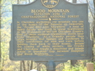 Blood Mtn by Keek in Trail & Blazes in Georgia