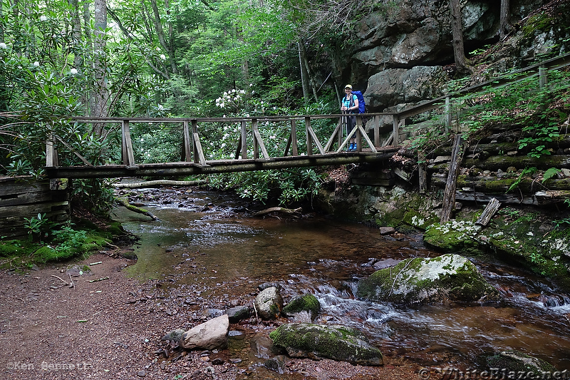 SW Virginia Section Hike