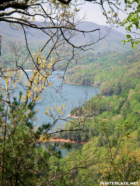 Watauga Lake