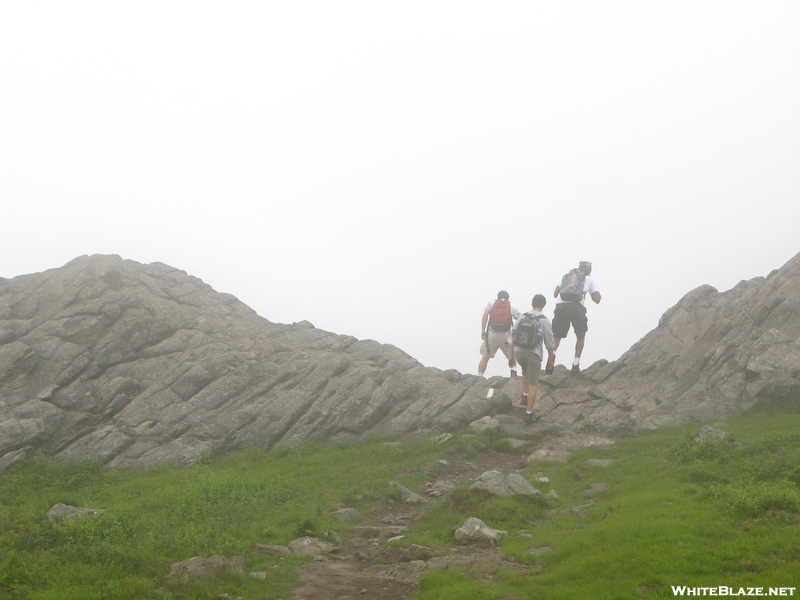 Foggy Trail