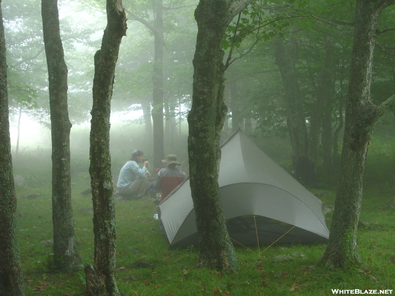 Tarptent in the fog