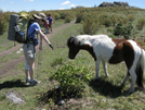 Hiking At Mt Rogers Over Memorial Day