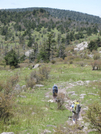 Hiking At Mt Rogers Over Memorial Day