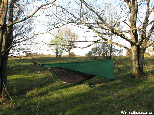 Hennessey Hammock On Stone Mountain