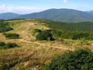 Little Hump Mountain by bigcranky in Trail & Blazes in North Carolina & Tennessee