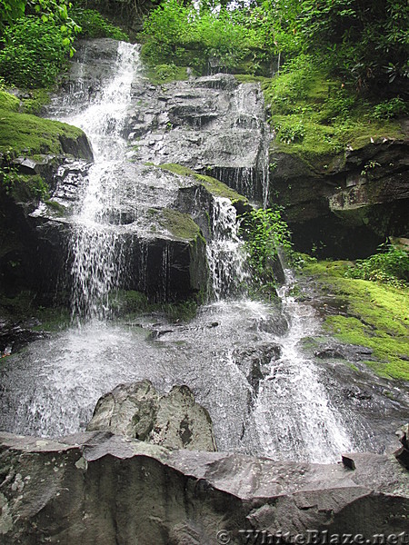 Family Trip to the Smokies 2013