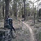 Bibbulmun Track by OzJacko in Other Trails