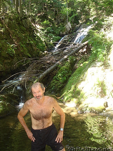 Cooling off in NH creek