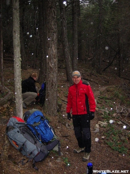 Light Snow, Sandia Mountains, Nm