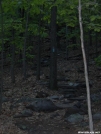 Blue Blazed stonestairway going up to the Appalachian Trail