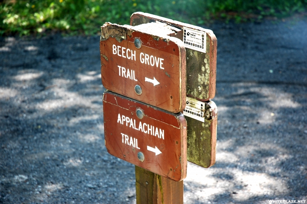 Virginia Creeper Trail 2007