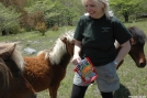 Mt. Rogers, Grayson Highlands VA by StarLyte in Views in Virginia & West Virginia