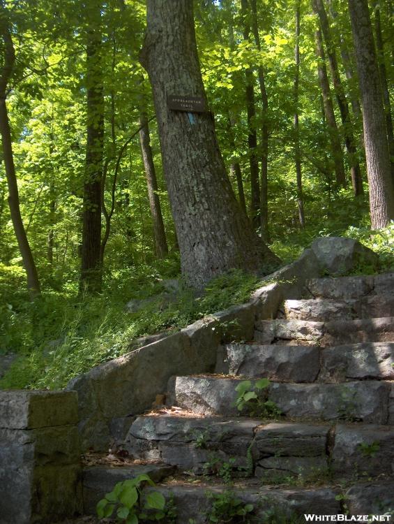 Beautiful stone steps at Blackburn Trail Center