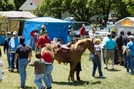 Trail Days 2008