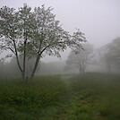 Coldspring Mountain by fudgefoot in Trail & Blazes in North Carolina & Tennessee