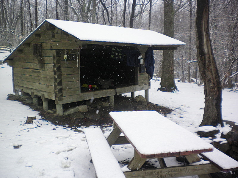 MORGAN STEWART SHELTER