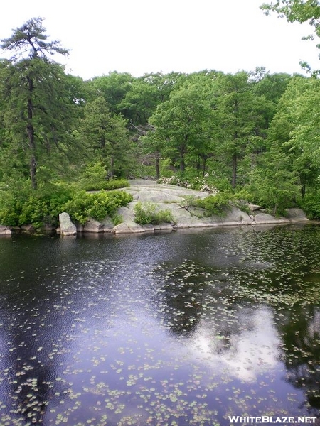 Island Pond