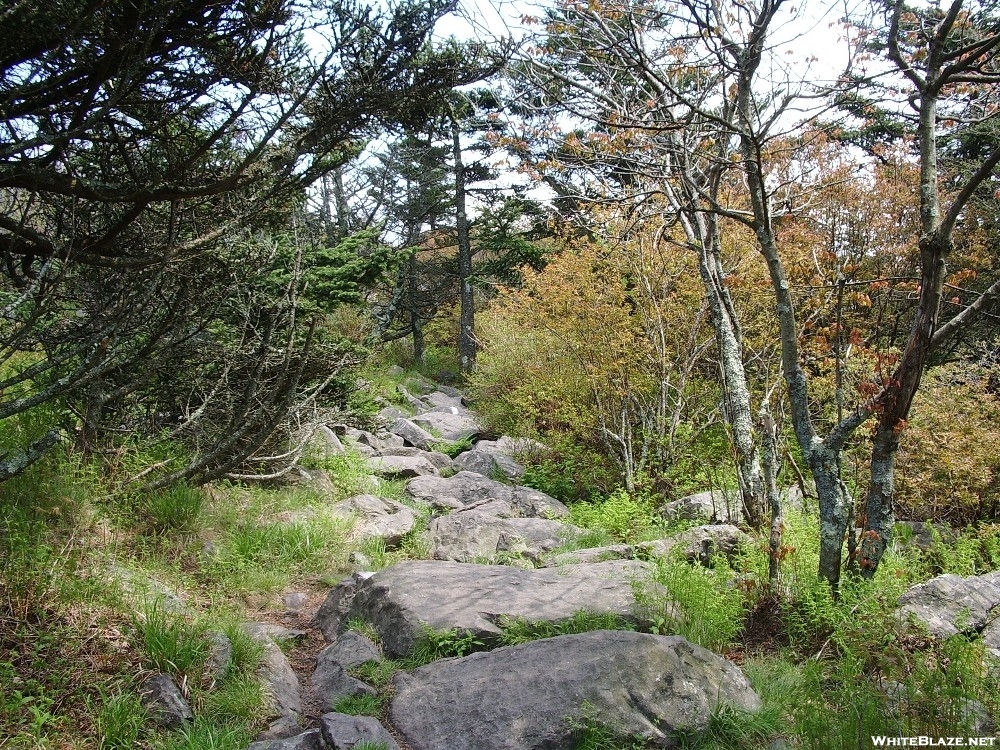 Rocky trail in Grayson SP