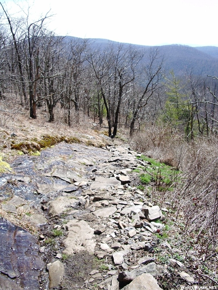 Rocky trail in Georgia