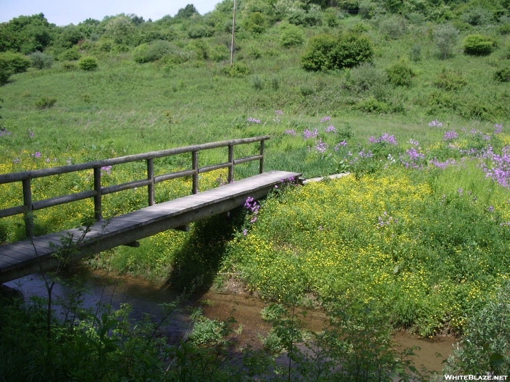 Trail bridge in VA