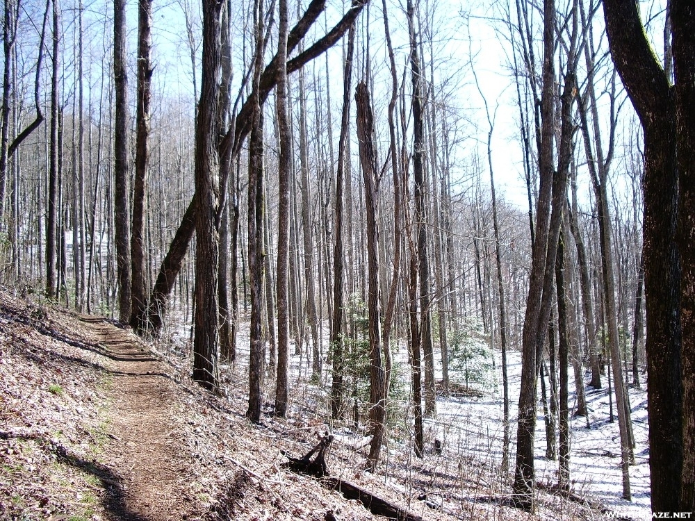 Trail in Georgia