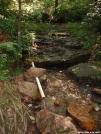 Water Supply by StoveStomper in Plumorchard Gap Shelter