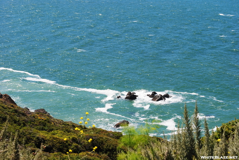 Point Reyes Hikes